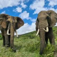 Indalu Game Reserve, hotel v destinaci Blandʼs Drift