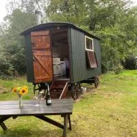 The Shepherd's Hut - Wild Escapes Wrenbury off grid glamping - ages 12 and over, hotel en Baddiley