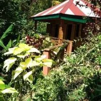 Berkey's Jungle Paradise, hotel u gradu Rozo