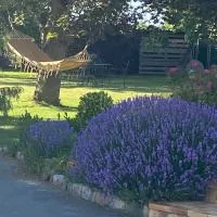 L’hirondelle du Faubourg: Saudemont şehrinde bir otel