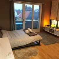 Cosy-Adventure : Haguenau: Haguenau şehrinde bir otel