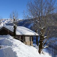 Chalet Arêches-Beaufort, 4 pièces, 6 personnes - FR-1-342-158