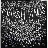 Marshlands Apartment, hotel in Lewes