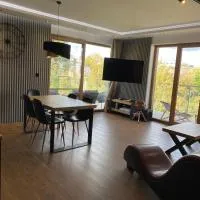 Apartament Grey Love w Czeladzi, FV, 8km do Katowic, khách sạn ở Czeladź