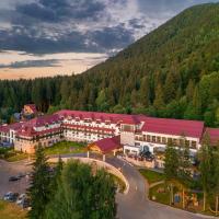 Ana Hotels Sport Poiana Brasov, отель в Пояна-Брашове