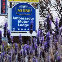 ASURE Ambassador Motor Lodge, Hotel in Oamaru