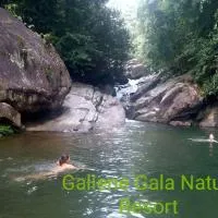 Gallene Gala Nature Resort, hotel v destinaci Kitulgala