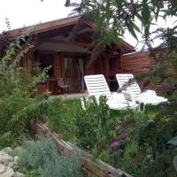 NIKOLIJA 3, hotel din Bajina Bašta