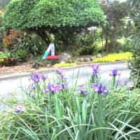 U Beauty - B & B, hotel berdekatan Lapangan Terbang Whangarei - WRE, Whangarei