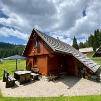 Cosy Chalet on Pokljuka - Brunarica Tinkara