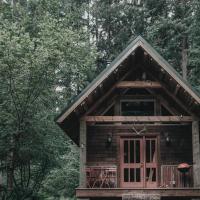 NEW! Cozy hand-built cabin 15min from Stevens Pass, hotel in Skykomish