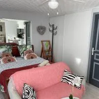 Studio Montagnac, hotel u gradu Montanjak