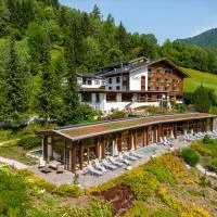 Hotel OTP Birkenhof, отель в городе Бад-Клайнкирххайм
