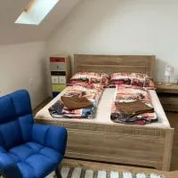 Dvojlôžková izba s vlastnou kúpelňou v priemyselnej zóne,位于托普拉河畔弗拉诺夫的酒店