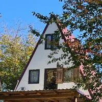 Crângul Verde, hotel u gradu Minciuneşti