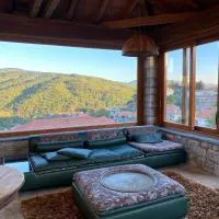 Villa Ardamis Karyes, hotell i Karyes