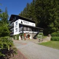 Pension St. Moritz, Hotel in Železná Ruda