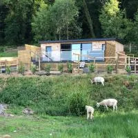 The Caswell bay hide out，斯旺西的飯店