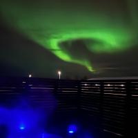 Smart Luxurious villa,amazing view&hot tub, Golden Circle , smart lights and electronics for comfort, hotel in Reykholt