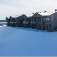 Best summer deals! Beat the heat! Beautiful Apartment at Skagahøgdi with Panoramic View, viešbutis mieste Golas