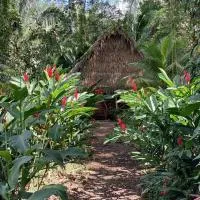 Sun Creek Lodge, hotel v destinaci Punta Gorda