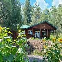 Salt Creek Cabin In The Gila, hotel poblíž Grant County Airport - SVC, Mimbres