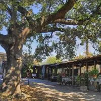 La Vecchia Quercia, hotel in Selci