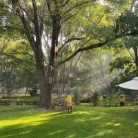 Magnolias Jardin & Boutique Suites, khách sạn ở León