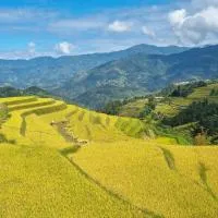 Riz d'Or Ermitage - Hoang Su Phi, hótel í Hoàng Su Phì