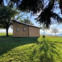 Tiny house, ξενοδοχείο σε Mislinja