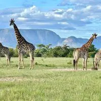 Vilagama Game Lodge – hotel w mieście Naboomspruit