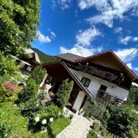 Pensiunea Bradet, hotel in Broşteni