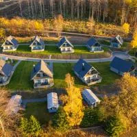 Harz-Urlaubs-Alm Hotel & Ferienhäuser，克勞斯塔爾的飯店