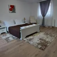 Casa La Rotarelu, Hotel in Sălişte