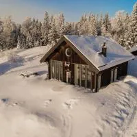 Ottsjö-Åre Lodge、Ottsjöのホテル