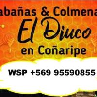 Cabañas El Diuco en Coñaripe 2, hotel en Coñaripe