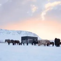 Akurgerði Guesthouse 6 - Country Life Style, ξενοδοχείο σε Ölfus