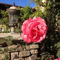 Leucadia Beach Inn، فندق في إنسينيتاس