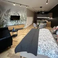 Apartamenty Warowna 2، فندق في بيشتنا