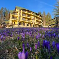 a field of purple flowers in front of a building at Hotel OHMA - Casa Viorel, Poiana Brasov
