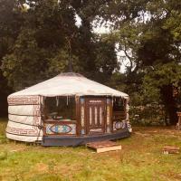 Mongolian yurt sleeping 2+2 with outdoor space