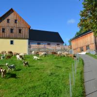 Ferienhaus Alpaka Glück