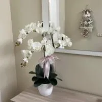 Casa vacanze l’orchidea, hotel en Soci