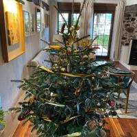 Vitori's House Tourist Accommodation