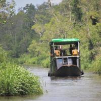 Orangutan River Cruise, hotel in Kumai