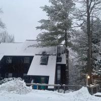 Fantastic 2 family ski home with Tesla charger just moments from the slopes!