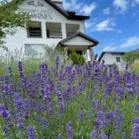 Pensiunea Carmen, hotel en Niculeşti