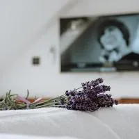 Dom Hany Hegerovej: Hurbanovo şehrinde bir otel