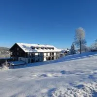 Apartements 270-275 Mitterdorf, hotel en Mitterfirmiansreut