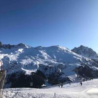 Studio skis au pieds Meribel-Mottaret，莱斯奥琉斯Meribel-Mottaret的飯店